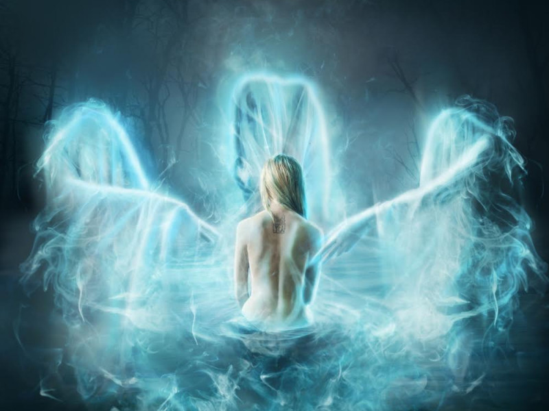 Soul Body Fusion® Opleidingsdag Vernieuwde Versie - Therapie, Bewustzijnsontwikkeling, Overige Workshops