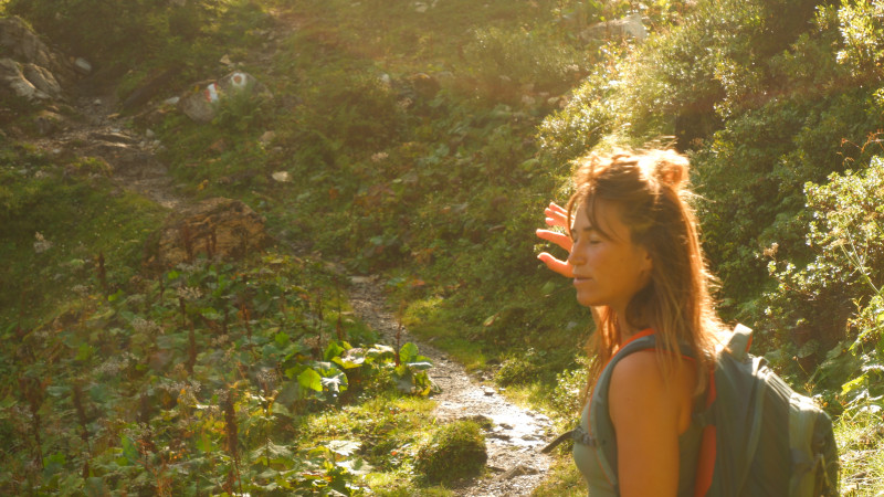 Forest bathing/ bosbaden/ Amsterdamse Waterleidingduinen