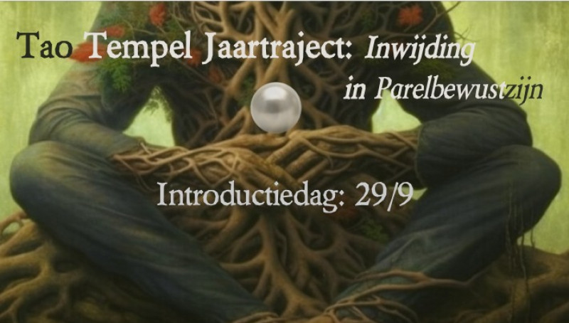 Tao Tempel: Introductiedag 'Parelbewustzijn'
