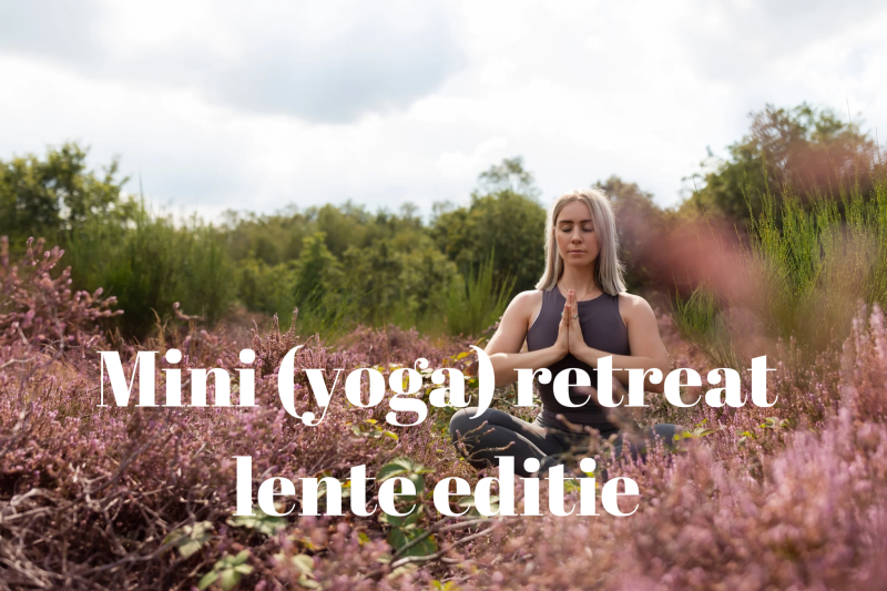 🌻 Mini Lente retreat met yoga, psoas release & ademwerk - Cacao ceremonie, Yoga, Soundhealing