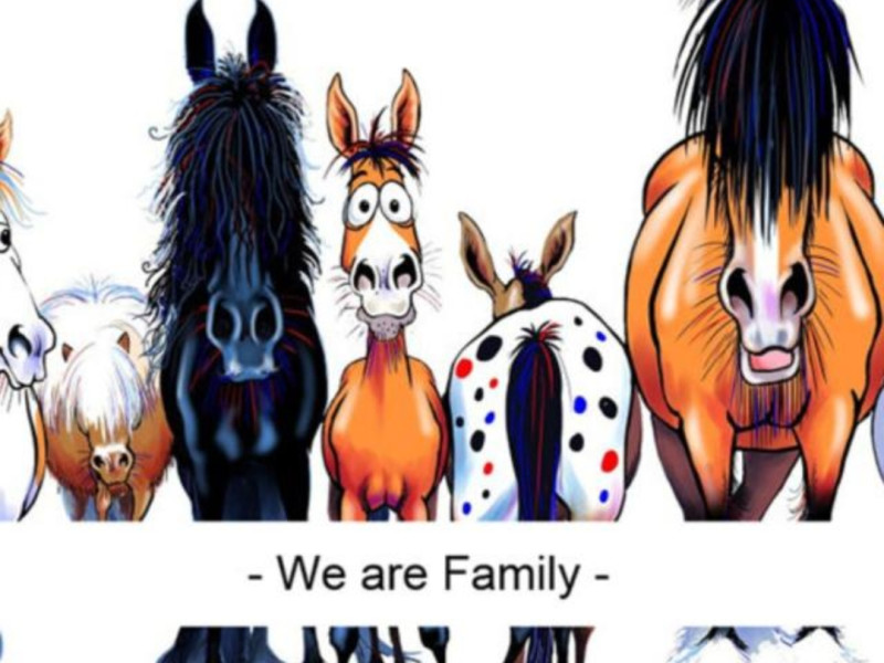Opstelling met paarden en representanten - Family Constellations, Systemic Work, Horses