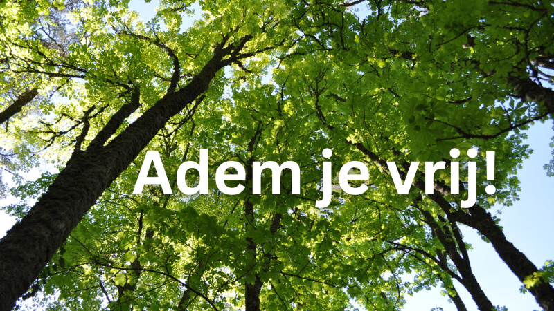 Adem je vrij - Embodied Transformational Breath® dagworkshop - Embodiment, Breathwork, Other workshops
