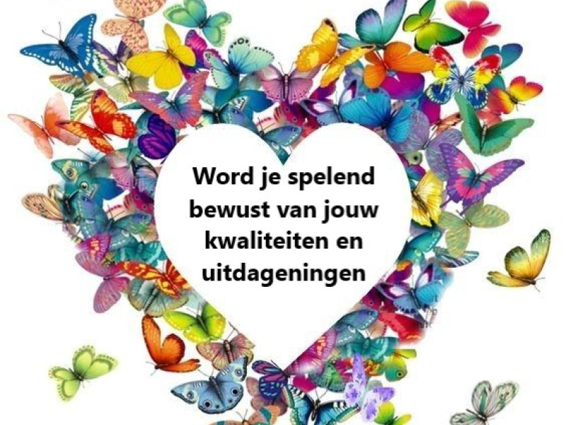 Ervaar de magie van het Transformatiespel