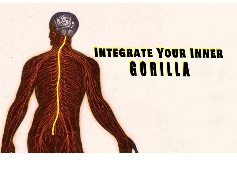 Integrate Your Inner Gorilla