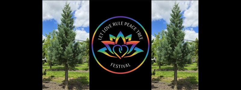 LetLoveRulePeace Tree - Een Historisch Moment 750 Amsterdam - Iniciaciones, Reuniones, Festivales