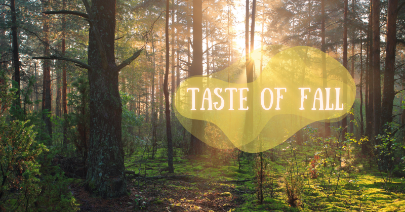 Taste of fall
