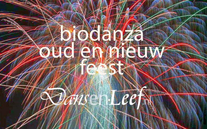 Oud en nieuw feest met Biodanza