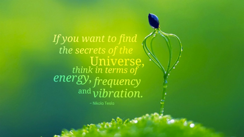 Frequency is the future medicine