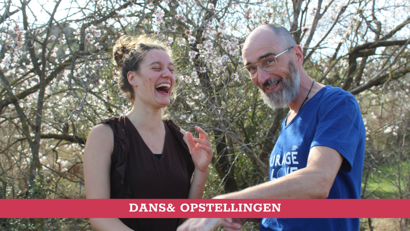 Dans& Opstellingen