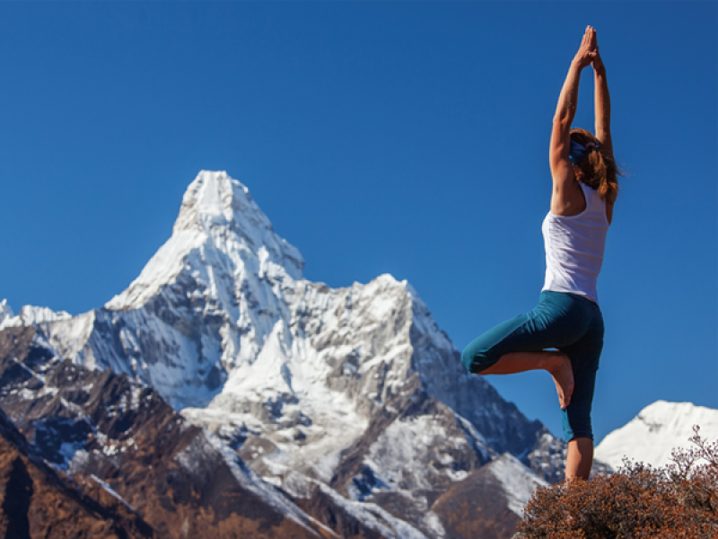 30 daagse gezondheidsreis India