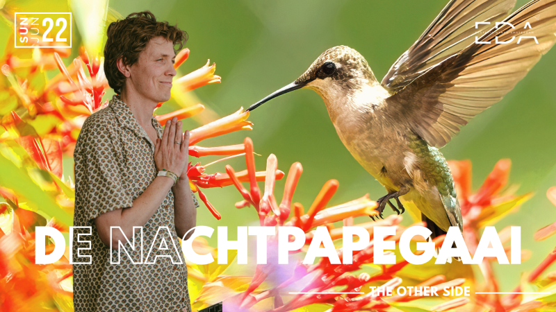 DE NACHTPAPEGAAI | EDA @ TOS - Ecstatic Dance, Conscious Dance, Intuitive Dance