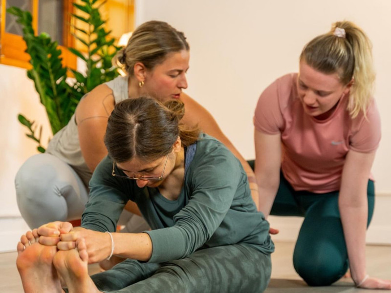 ONLINE YIN TRAINING (theory & sequencing) - Yoga