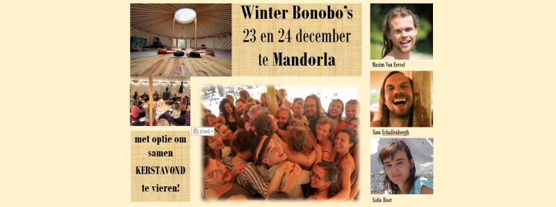 Bonobos Christmas Edition - Dining Together, Consciousness Development, Other workshops