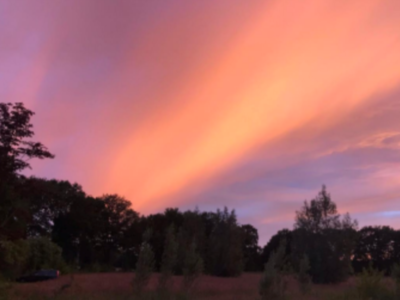 De Stem van je Lichaam - Hipsy