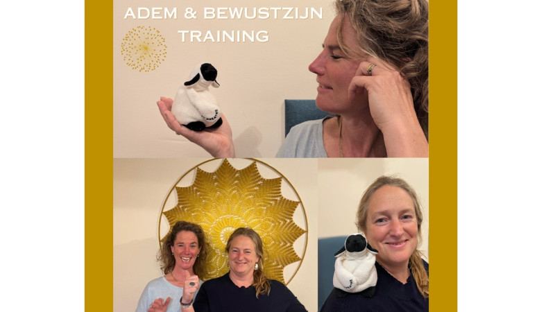 Adem en Bewustzijn training  - Retraites de plusieurs jours, Développement de la conscience, Breathwork