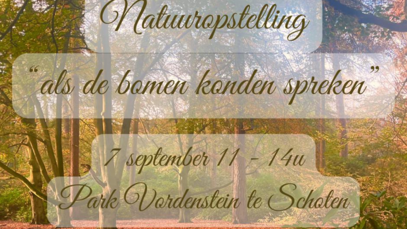 Natuuropstelling 'Als de bomen konden spreken' 