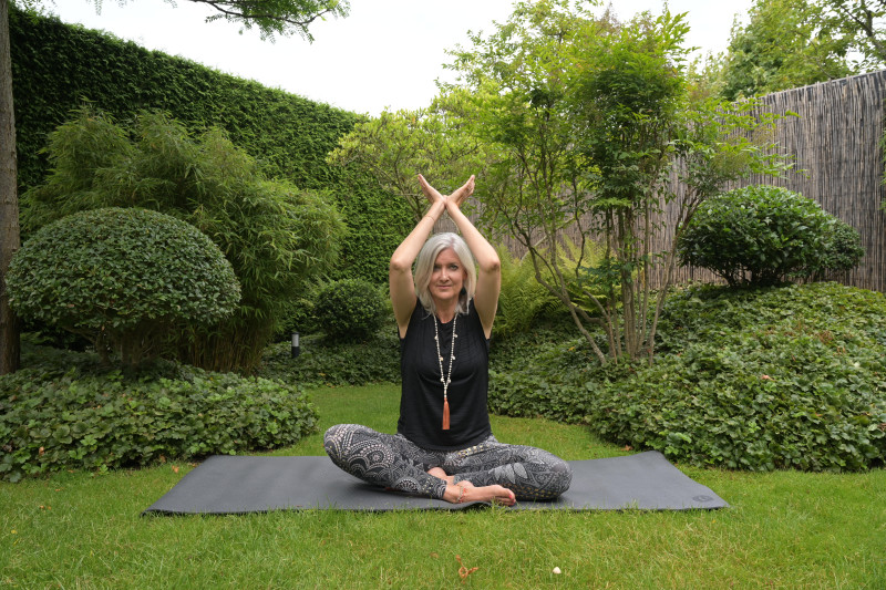 Meditatie & Yoga Dagretreat op Hoog Niveau