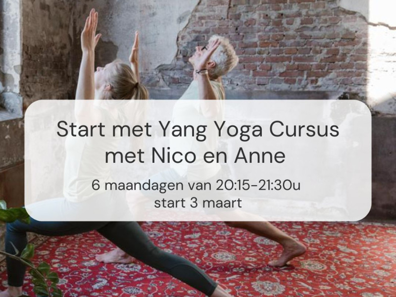 Start met Yang Yoga Cursus met Nico& Anne