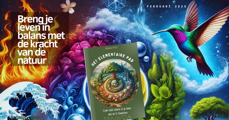 Pre-Order Boek: Het elementaire pad