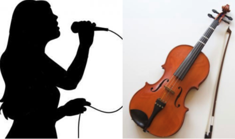 Stem & instrument.