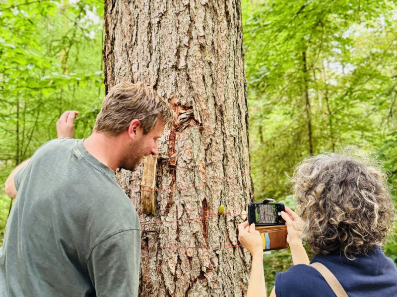 Mindful fotowandeling - Nature, Pleine conscience, Randonnée