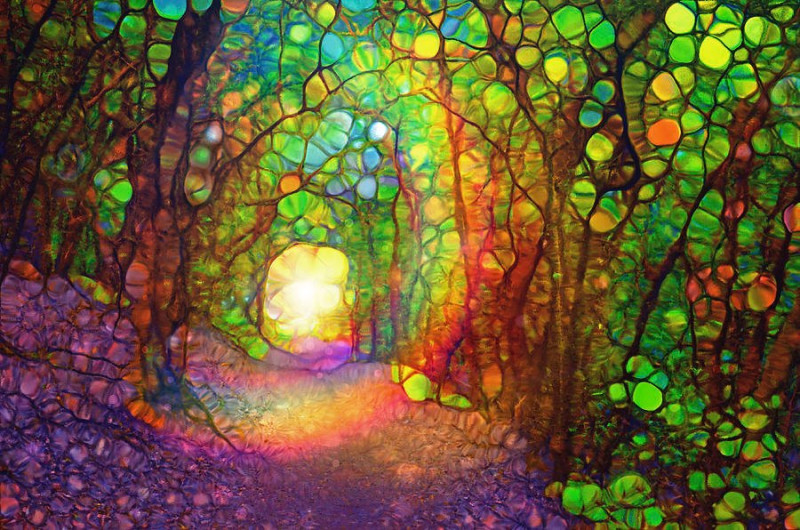 De kunst van het sterven - Hipsy