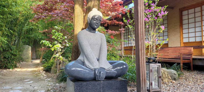 Lente Retraite met Qi Gong, Meditatie en meer - Retiro de 1 día, Qi Gong, Desarrollo de la conciencia