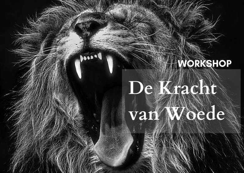 De Kracht van Woede workshop