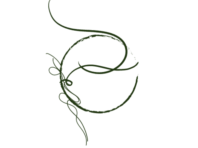 Bio-energetica