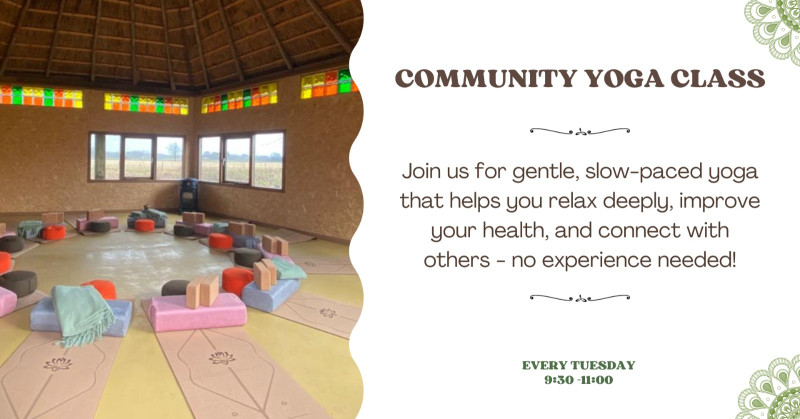 Gentle Slow Yoga - Community Class