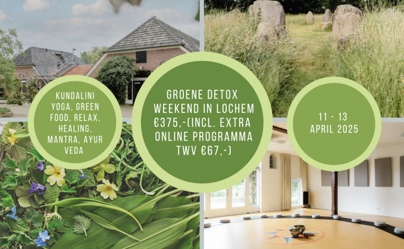 Groene Detox Weekend Retraite