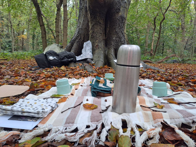 Micro Bosbad van 1,5 uur in Ockenburgse bos Den Haag