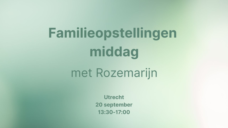 Familieopstellingen middag