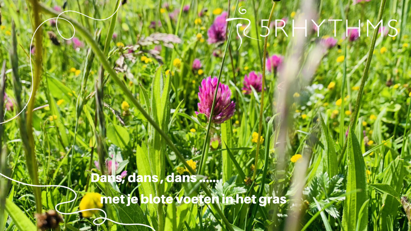 5Ritmes Sweat met je voeten in het gras - 5 Ritmos, Danza libre, Danza consciente