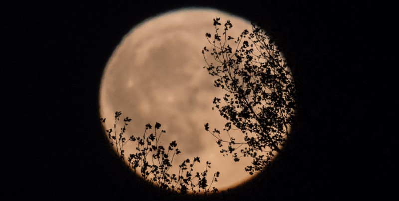 Celebrating Full Moon - Beach edition - Danse libre, Danse intuitive, Nature