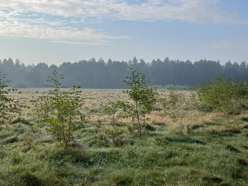 Walk with Me...wandeling voor Vrouwen