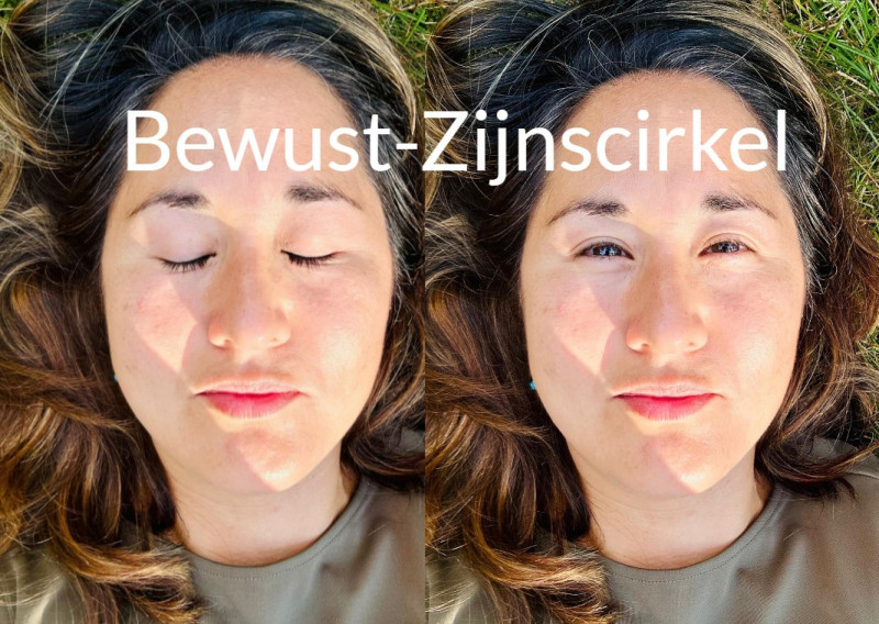 Bewust-Zijnscirkel