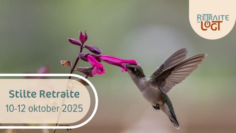 Stilte Retraite- Vol! Kijk ook eens bij ons reflectie weekend