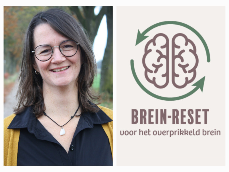Workshop Ontstressen volgens de methode van Live The Connection® 2x2h