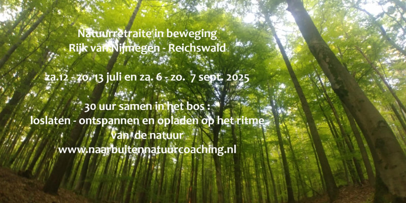 Natuurretraite in beweging een natuurlijke bezinningstocht van 30 uur - Mini retraite in de natuur, Sjamanisme, Persoonlijke Ontwikkeling