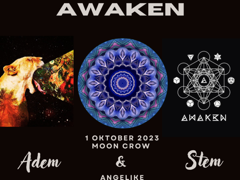 Awaken - Een Helende Reis met Adem & Stem - Sjamanisme, Ademwerk, Overige Workshops