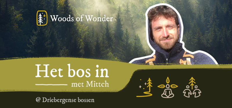 Het Bos in - met Mittch