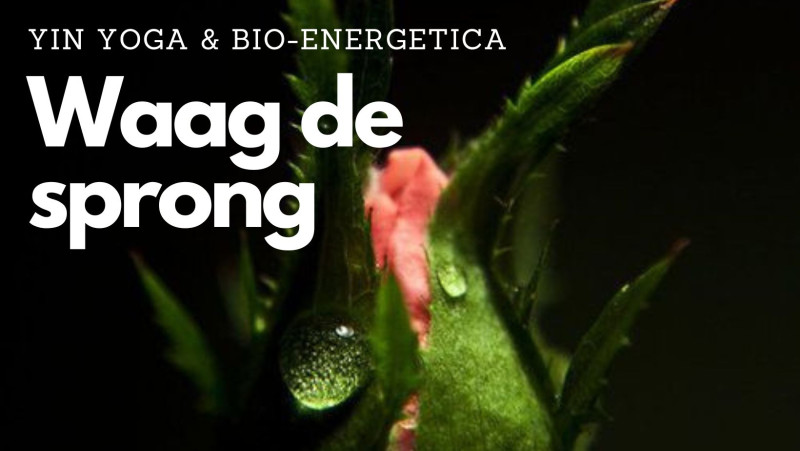 Yin Yoga en Bio-energetica: Waag de sprong! - Hipsy