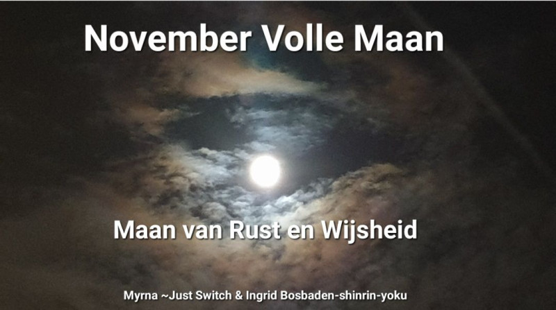 Volle Maan Bosbad 5 november 2025 Maan van Rust en Wijsheid