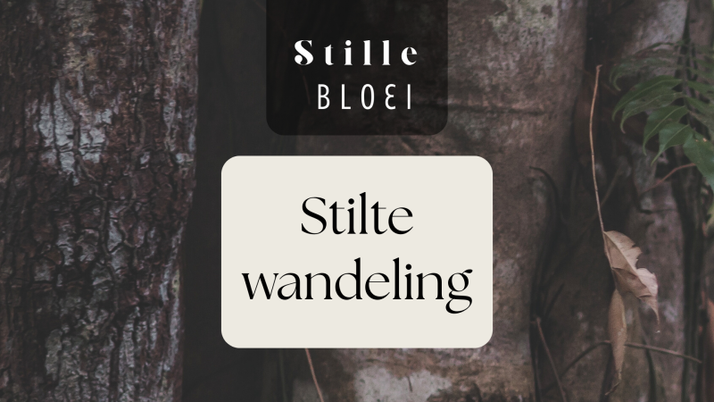 Stiltewandeling | PUUR 