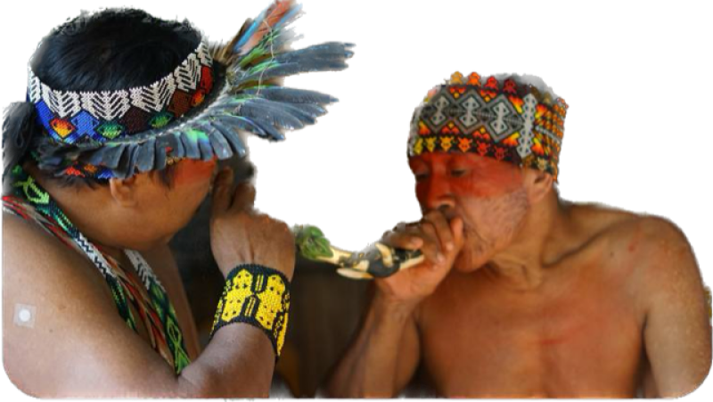 Rape Circle & Traditional Songs met Noke Koi (Brasil) - Plantmedicijn, Ritueel, Live muziek