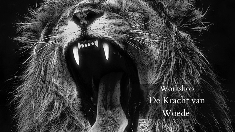 Workshop de Kracht van Woede