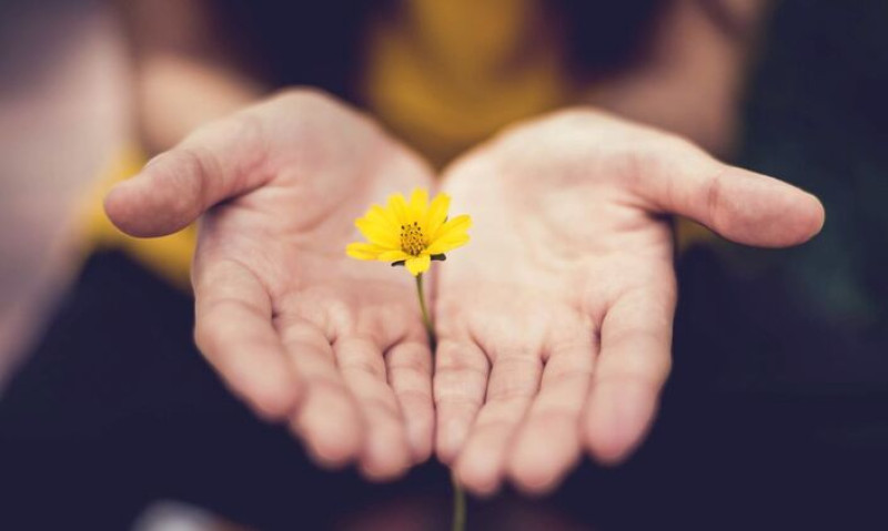Attitudinal Healing Facilitatortraining (4 dagen)