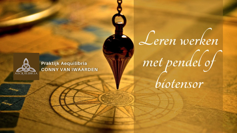 Leren werken met Biotensor of Pendel