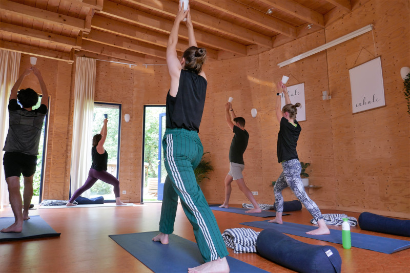 Ashtanga Yogales